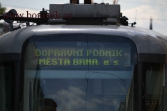 FotoRep-2015_Horakova_0013