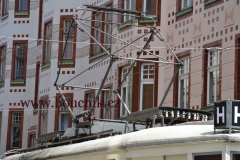 FotoRep-2015_Horakova_0018
