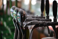 FotoRep-2015_Horakova_0059