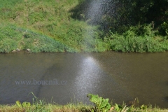 Svitava_20-08-16_0269
