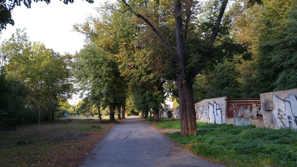 Parkování