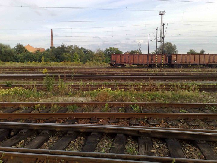 Pohled přes rosického nádraží, za tratí je již Komárov. U tratí jsou zbytky zahrádkářské kolonie.