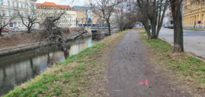 Kácení stromů a keřů na řece Svratce v Brně