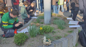 17. ročník Šalinění